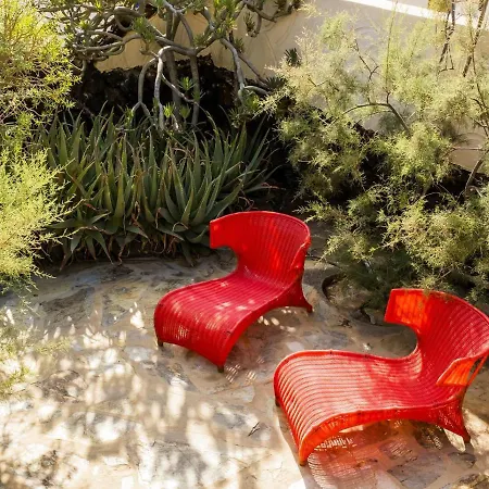 Live Poris Begonia 89 Nyaraló