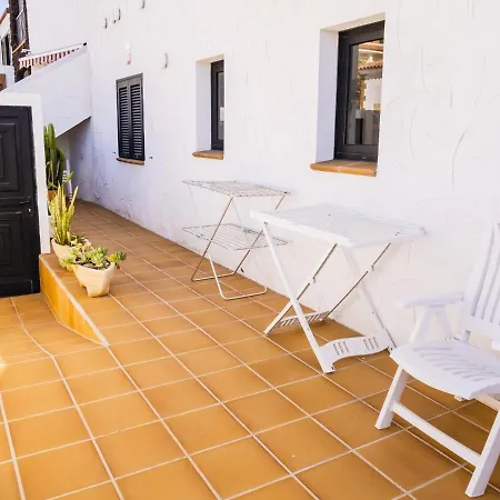 Live Poris Begonia 89