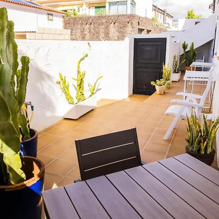 Live Poris Begonia 89 * Poris de Abona