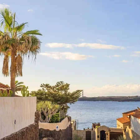 Live Poris Begonia 89 Poris de Abona