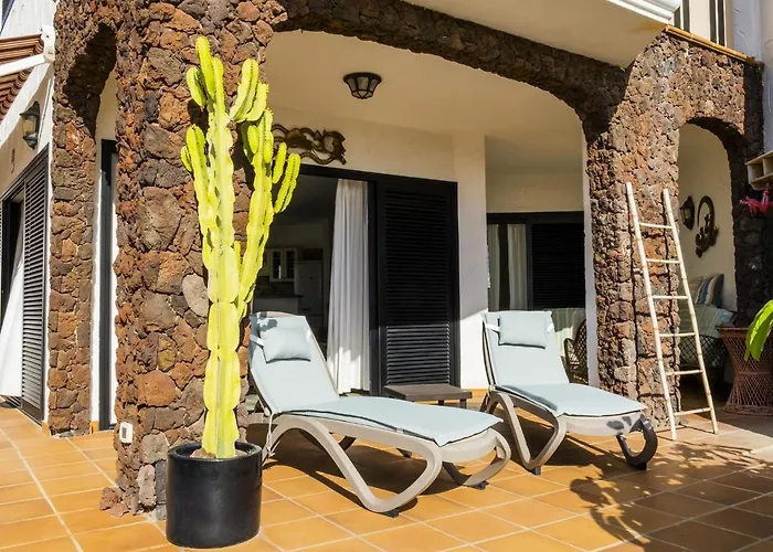 Live Poris Begonia 89 *