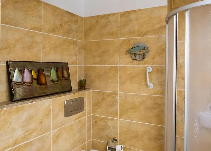 Live Poris Begonia 89 *