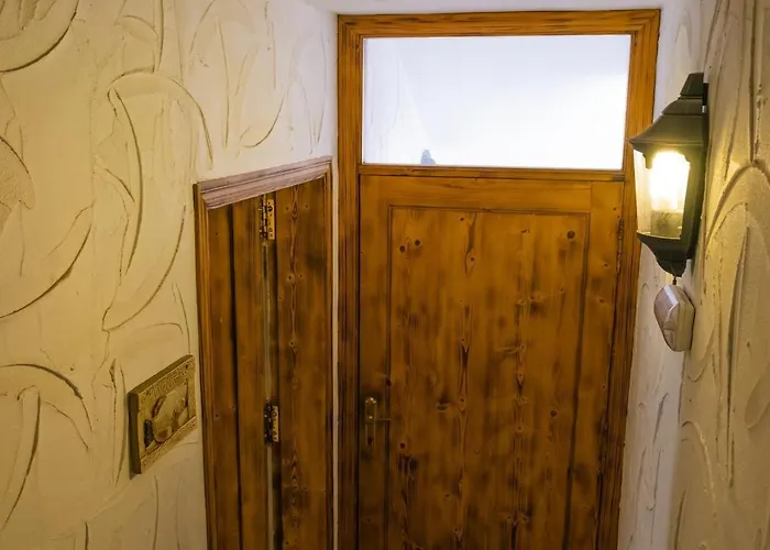 Live Poris Begonia 89 * Poris de Abona