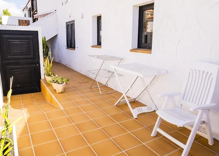 Live Poris Begonia 89