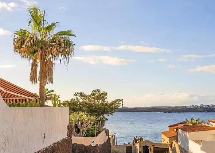 Live Poris Begonia 89 Poris de Abona