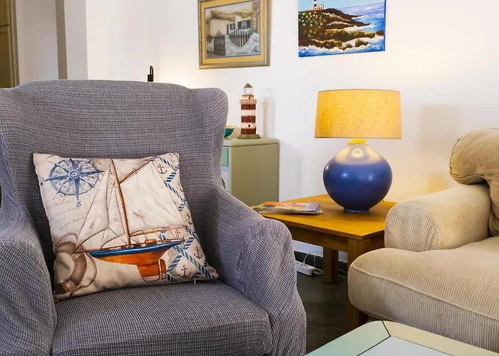 Live Poris Begonia 89 *